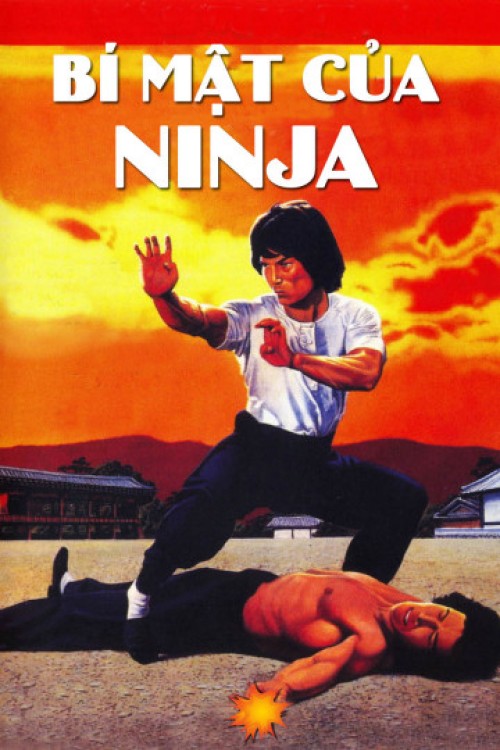 Bí Mật Của Ninja 1982