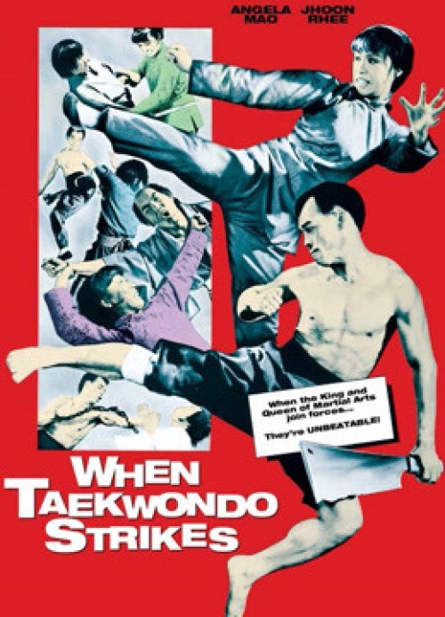 Taekwondo  Chấn Cửu Châu 1973