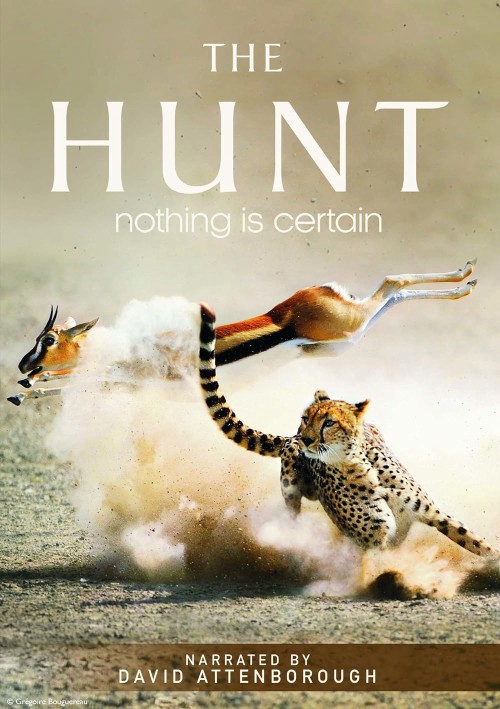 The Hunt 2015